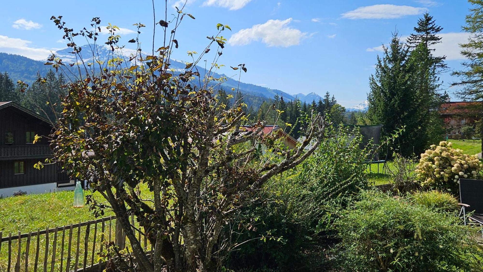Chalet Weitsee Reit im Winkl Dış mekan fotoğraf